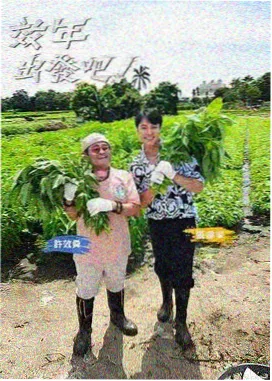 旅行综艺在线视频在线观看