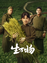 河岸来信剧集高清完整版在线观看