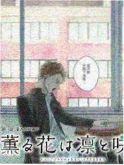 深夜食堂访 免费综艺访谈
