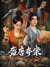 久久在线观看刑侦剧集回声档案海报
